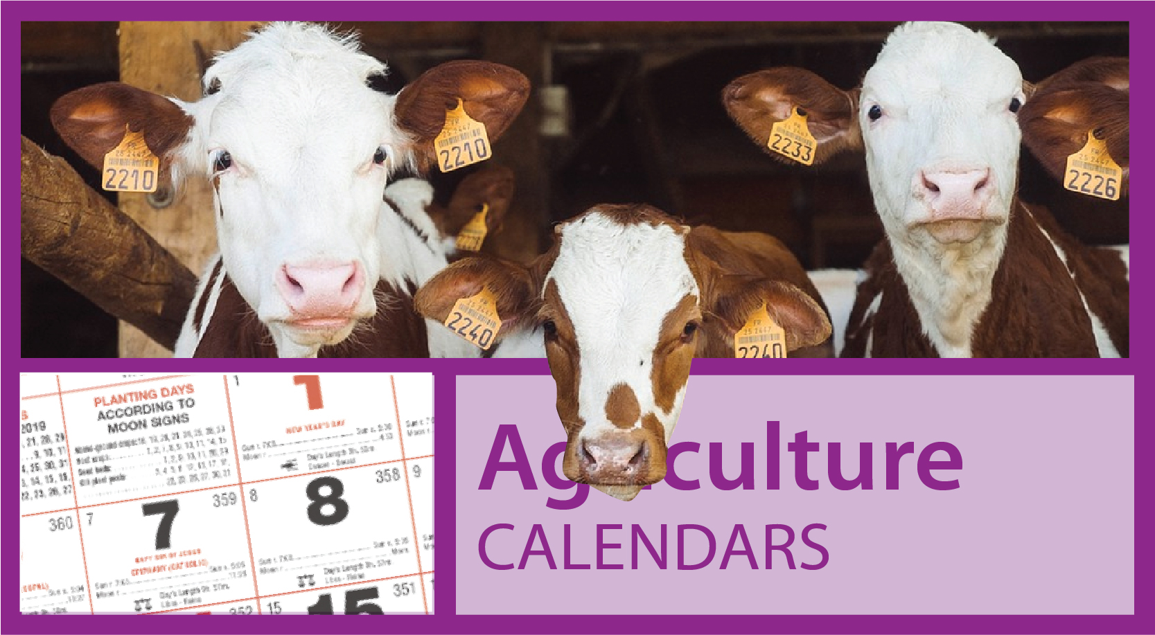 Farm Animal Calendar | Agri Calendars