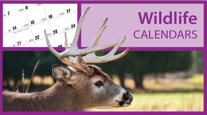 Wildlife Calendars | Wild Animal Calendars