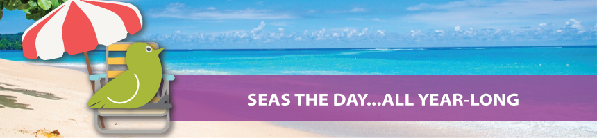 Beach & Ocean Calendars  |  Promotional Beach Calendars