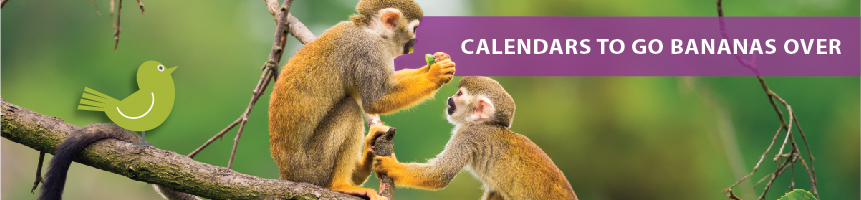 Exotic Animal Calendars | Global Animals Calendars | Monkey Calendars