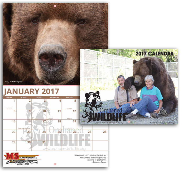 Custom Calendar Examples Valuecalendars Orphaned Wildlife Custom Calendar 2017 Photo Calendars