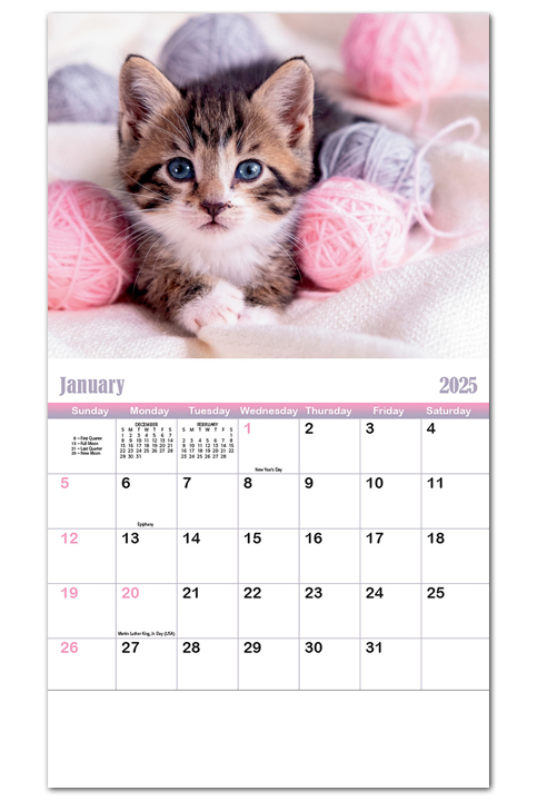 2021 Puppies Kittens Ii Calendar 10 1 2 X 18 1 4 Customized Staple Bound Drop Ad Imprint Appointment Calendars kittens and puppies calendar 2021