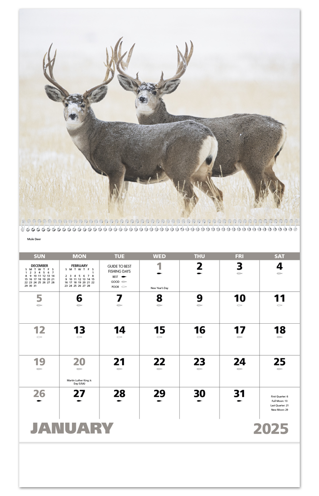 2020 Deer & Deer Hunting Calendars Available