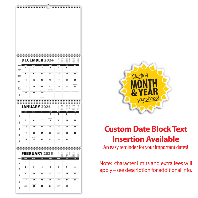 3Month/4Panel Jumbo Single Photo Wall Calendar