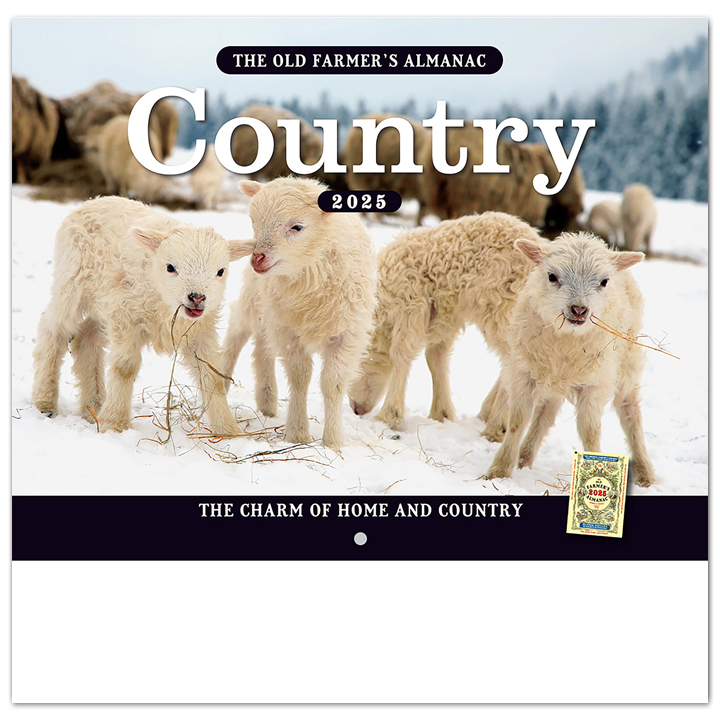 2025 Old Farmers Almanac Country Calendar 101/2" x 181/4