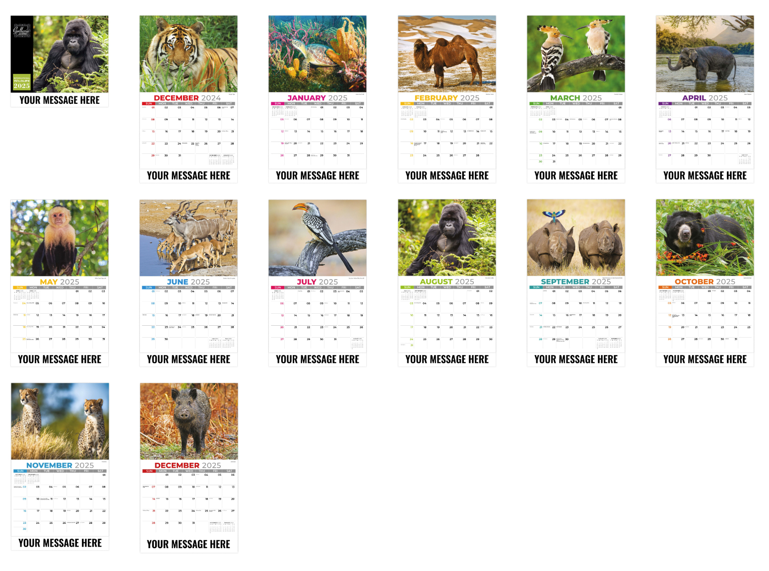 International Wildlife Calendar ValueCalendars
