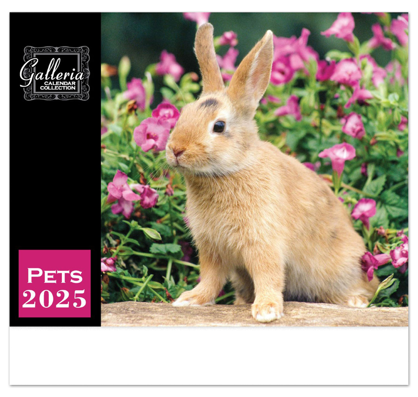2025 Galleria Collection Pets Calendar 105/8" x 181/2" Affordable