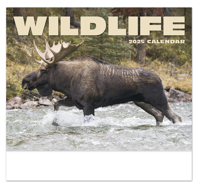 Wildlife.utah.gov Calendar Printable Calendar 2023