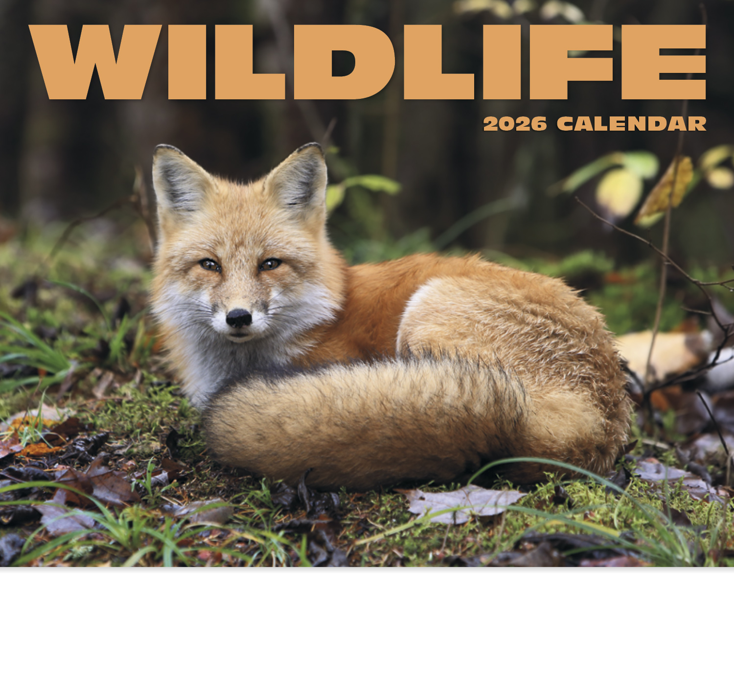 Wildlife.utah.gov Calendar Printable Calendar 2023