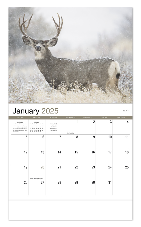 Animal 2024 Calendar National Day Calendar 2024