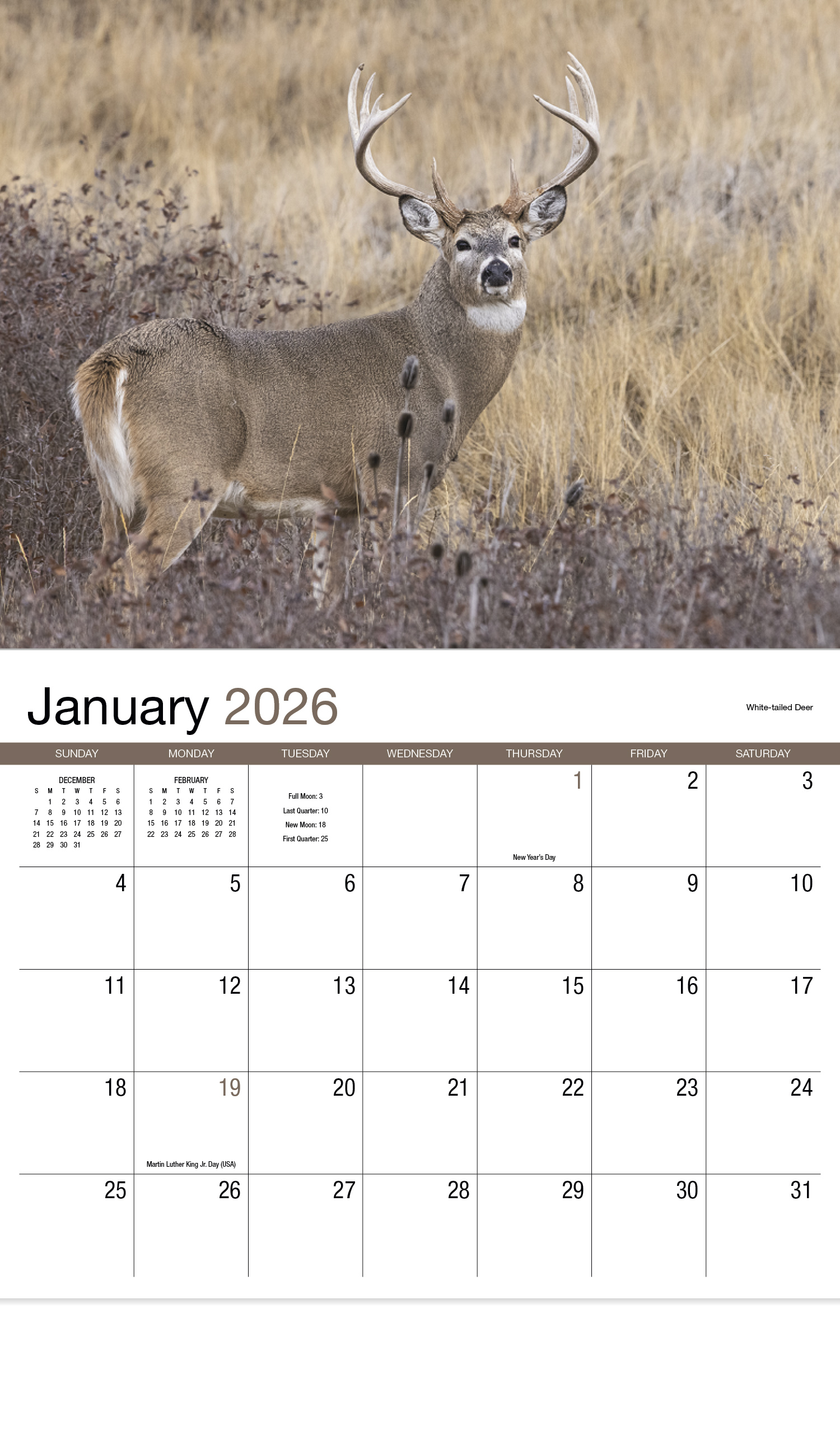 2024 Wildlife II Promotional Wall Calendar 107/8" x 18" Personalized