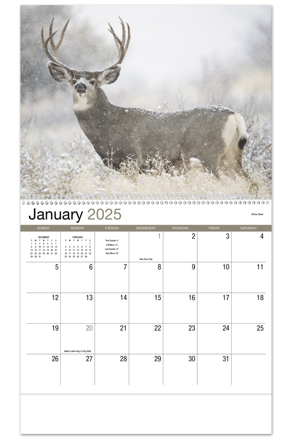 2024 Wildlife II (Spiral) Wall Calendar 107/8" x 18" Customized