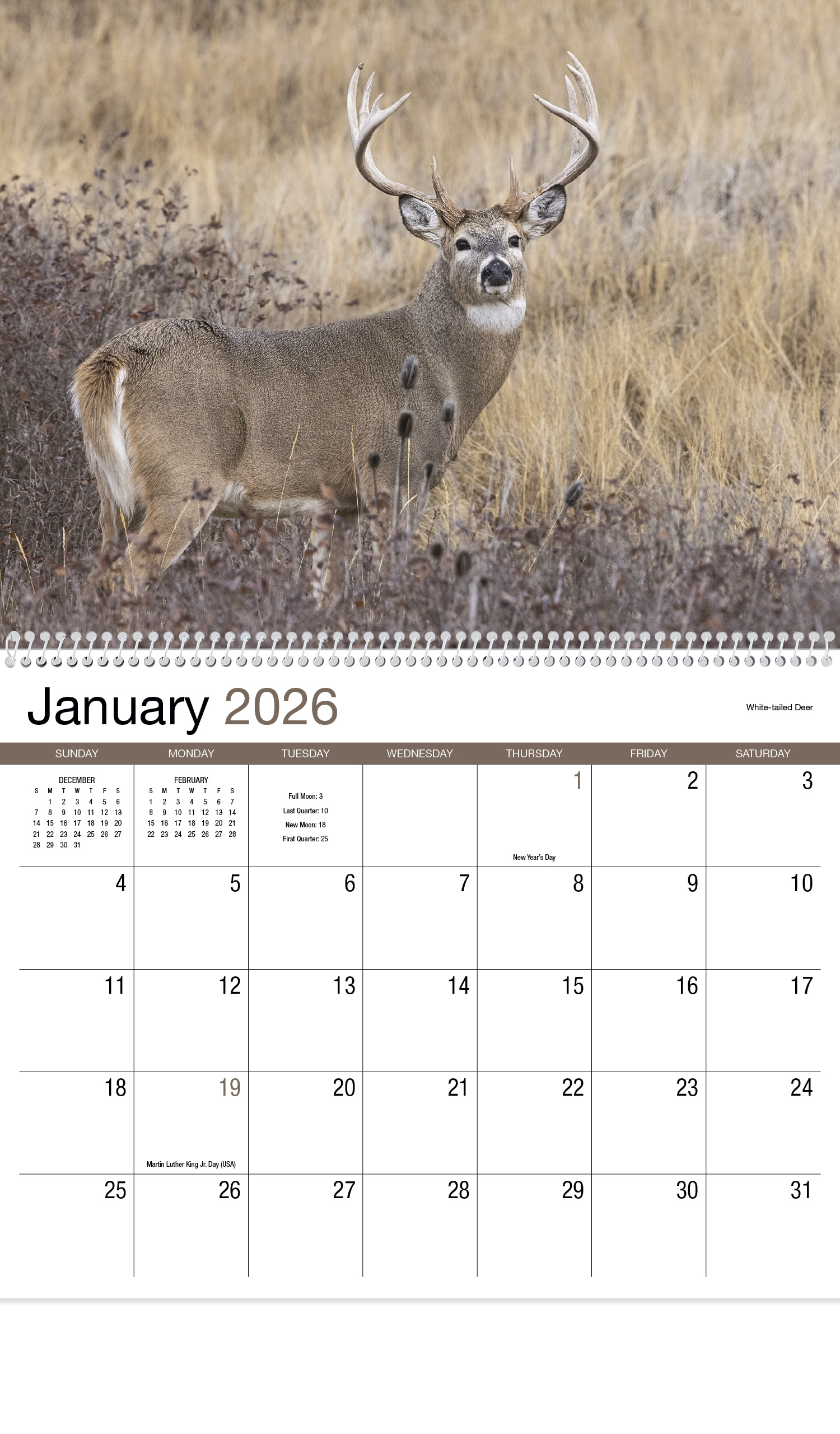 2024 Wildlife II (Spiral) Wall Calendar 107/8" x 18" Customized