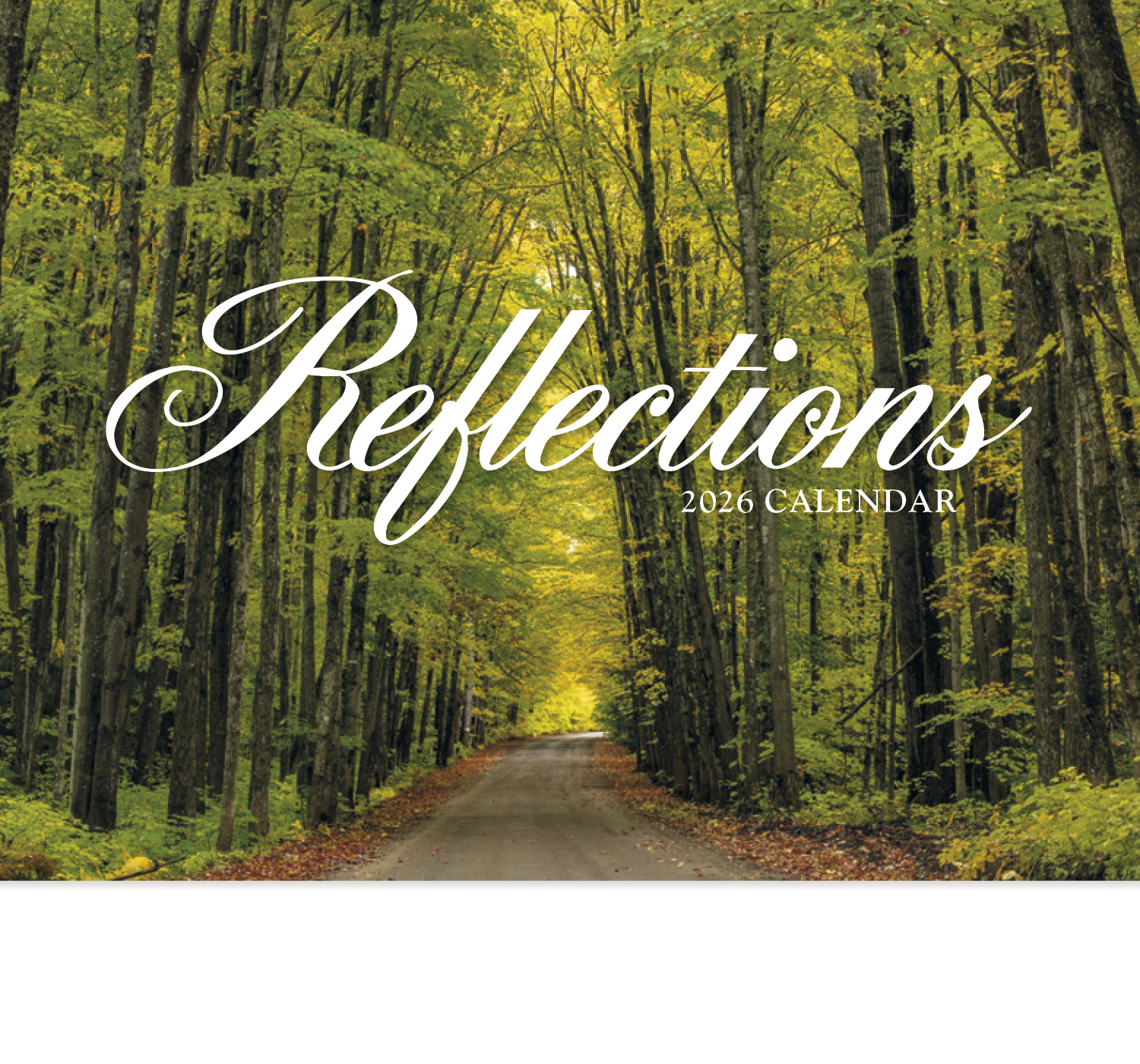 2025 Reflections Universal Promotional Wall Calendar 107/8" x 18
