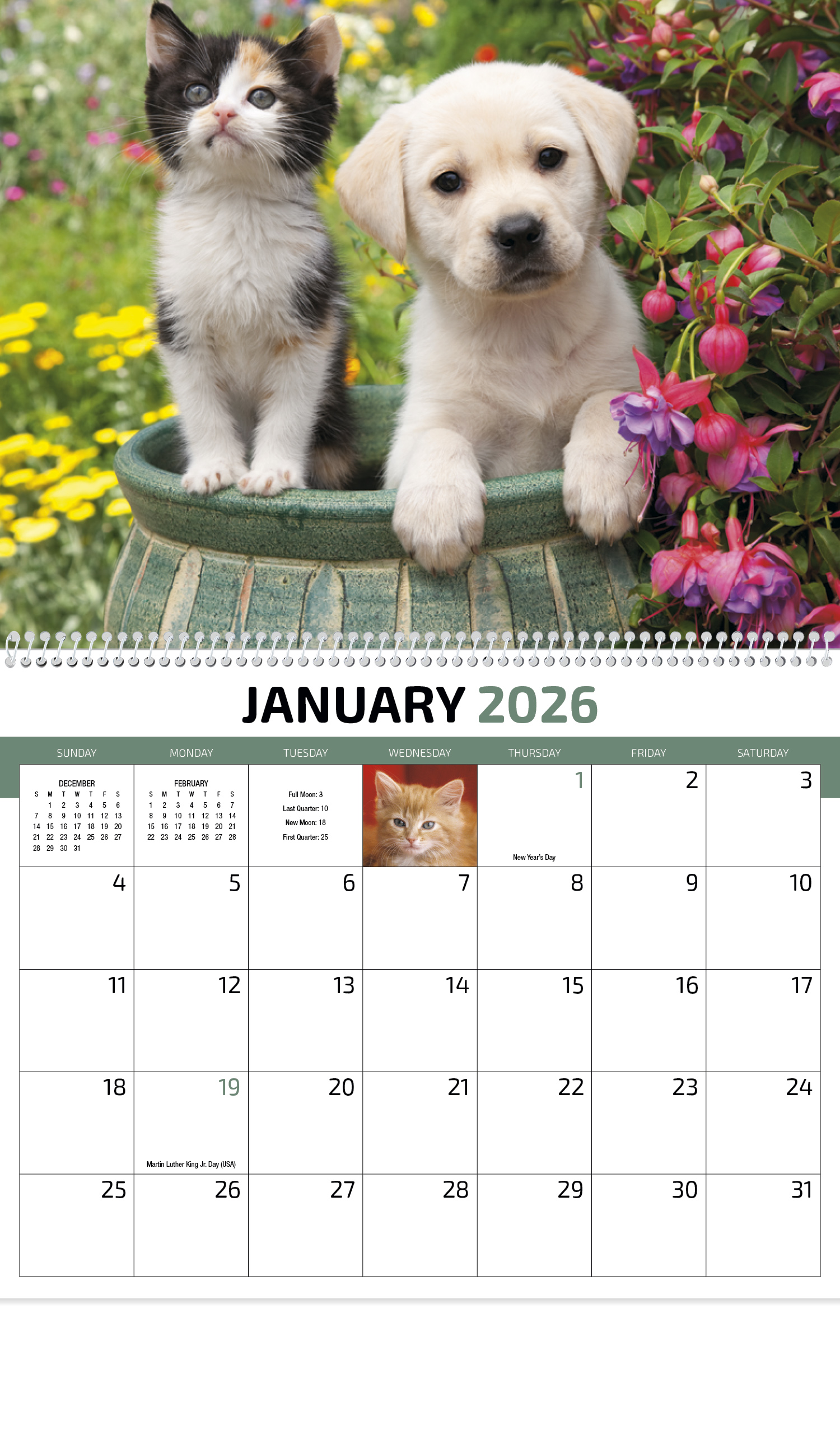 2025 Four Paws (Spiral) Wall Calendar 107/8" x 18" Promotional