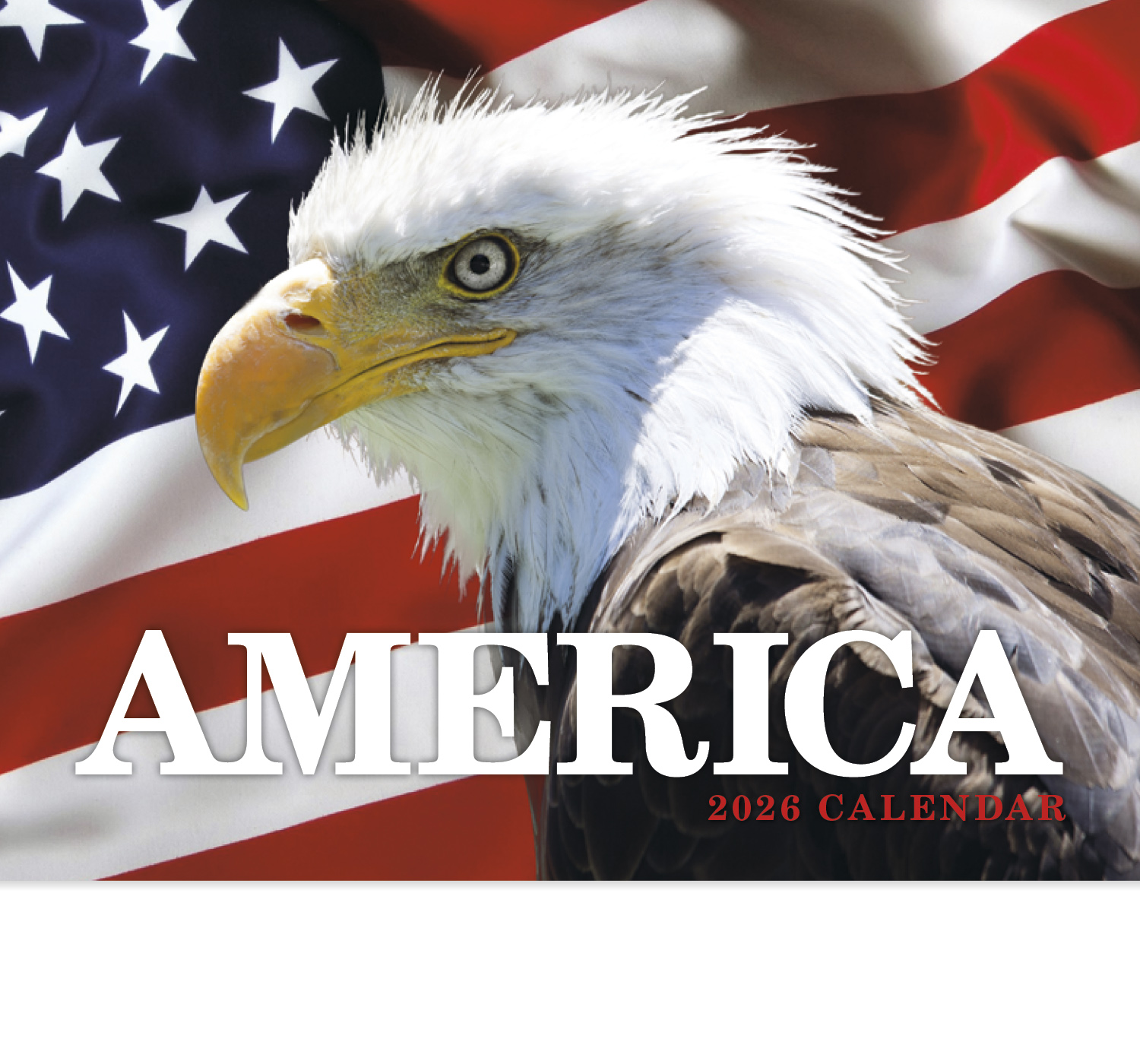 2024 Patriotic America Promotional Wall Calendar 107/8" x 18