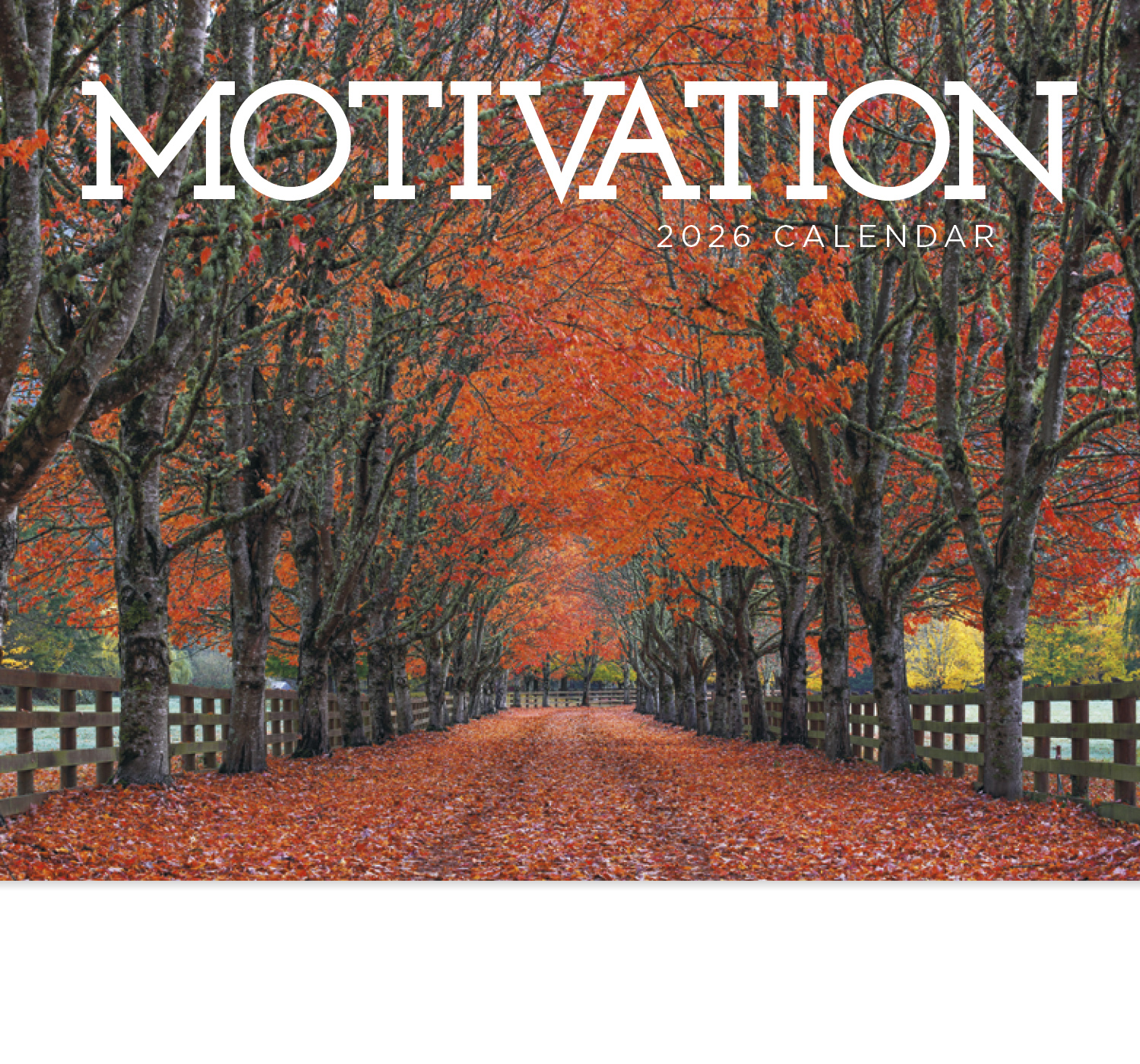 2025 Motivation Promotional Wall Calendar 107/8" x 18" Custom