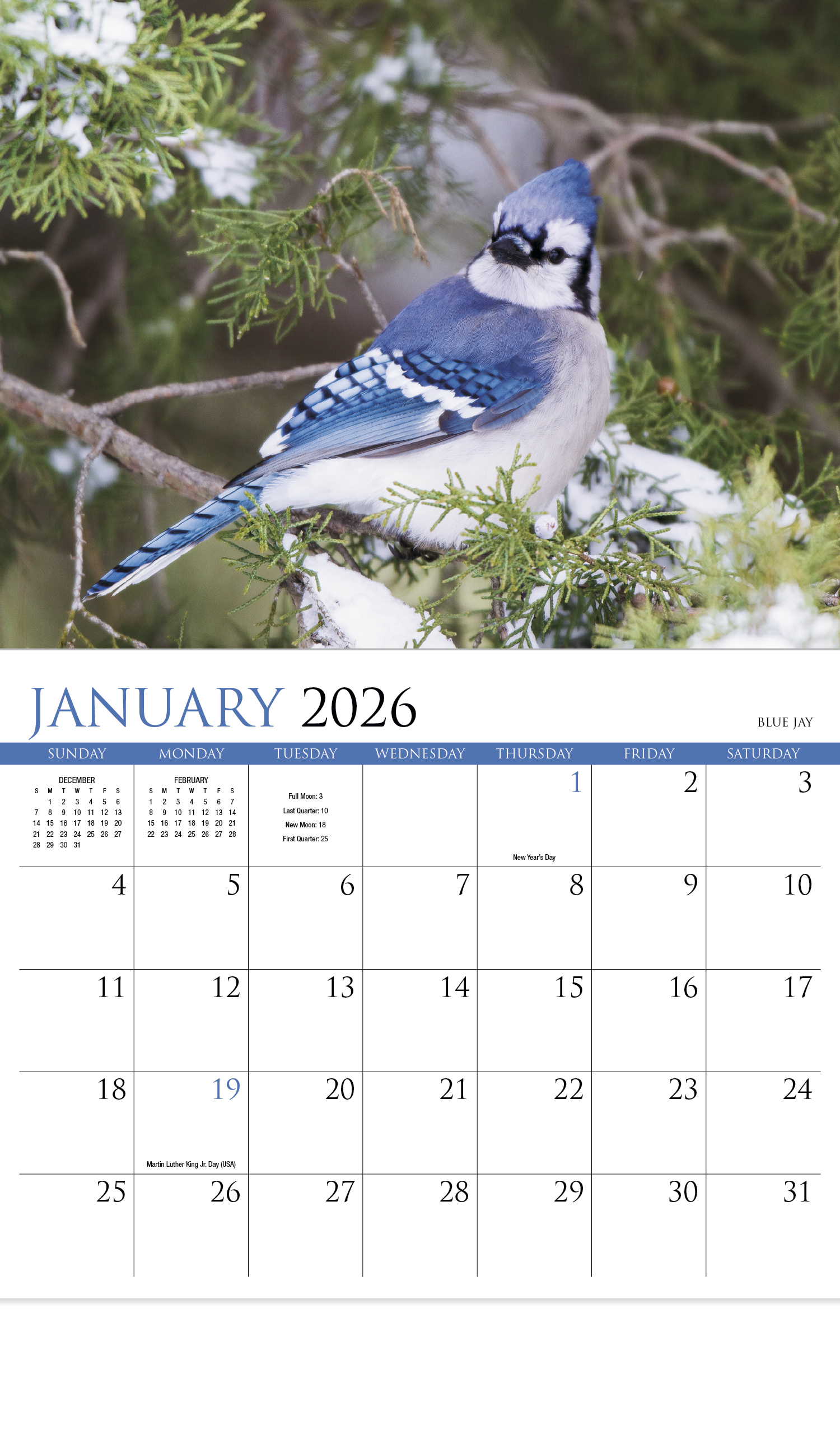 2025 Nature's Songbirds Promotional Wall Calendar 107/8" x 18