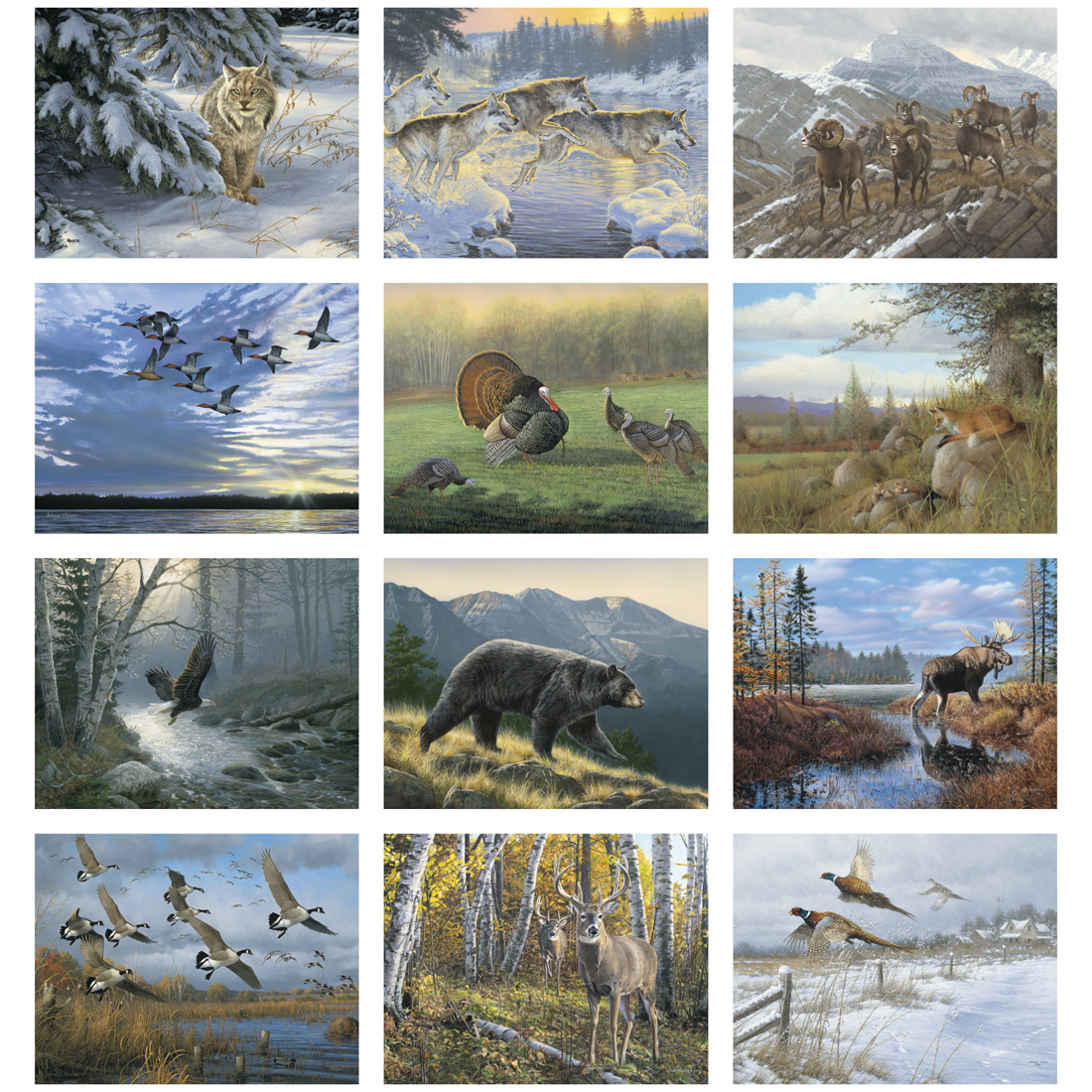 wildlife-collection-spiral-calendar-valuecalendars