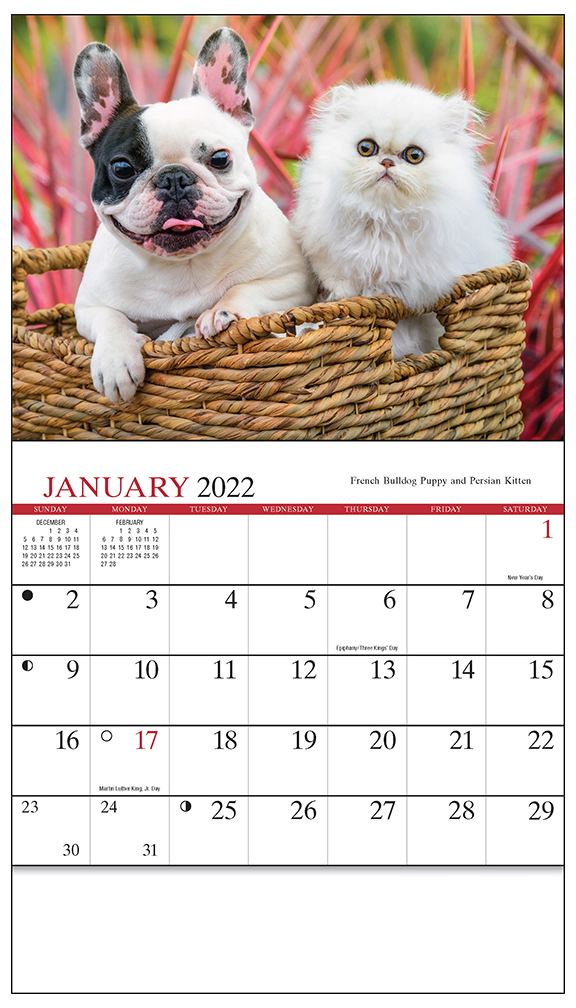 four-paws-mini-wall-calendar-valuecalendars