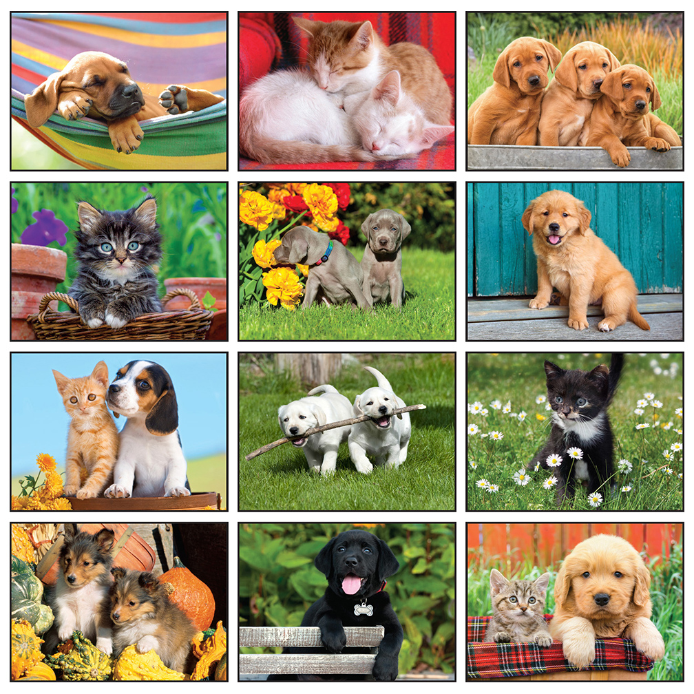Four Paws Mini Wall Calendar