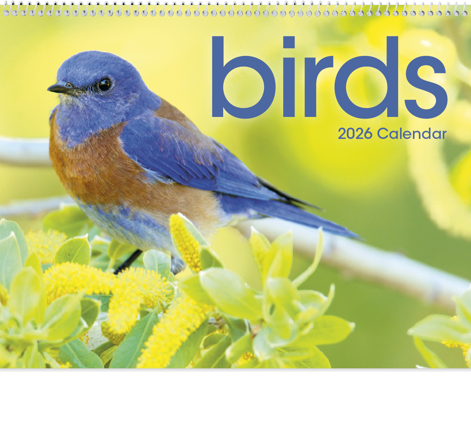 2024 Birds Calendar 11" X 19" Imprinted Spiral Bound; Drop Ad Imprint