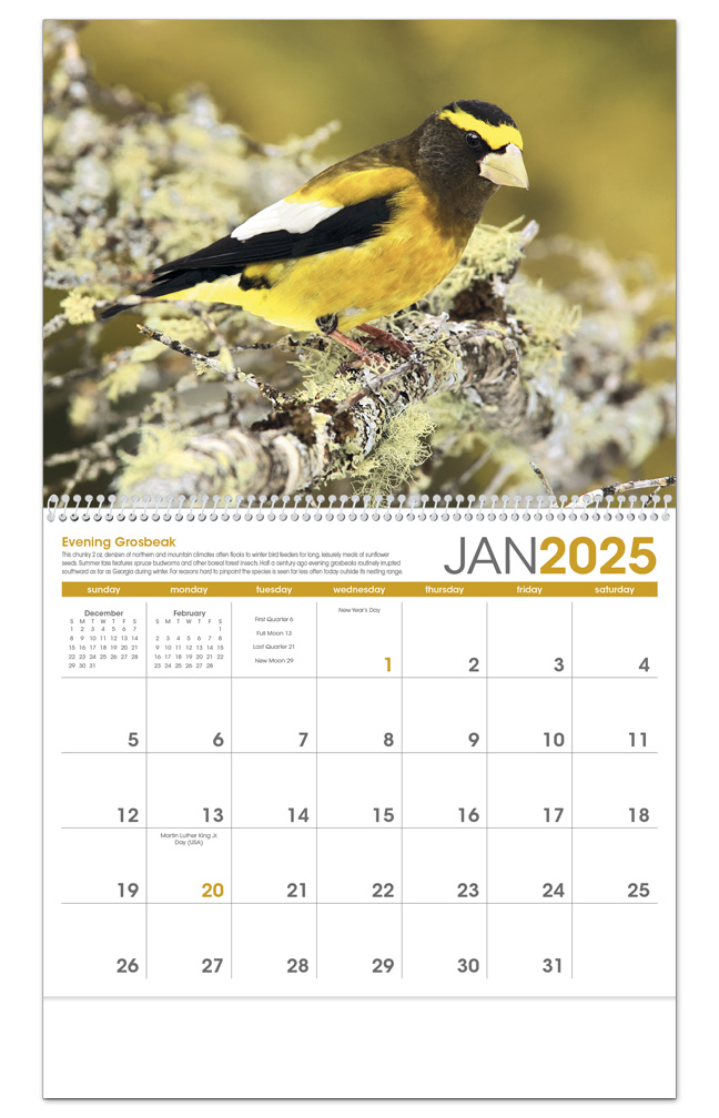2024 Birds Calendar 11" X 19" Imprinted Spiral Bound; Drop Ad Imprint