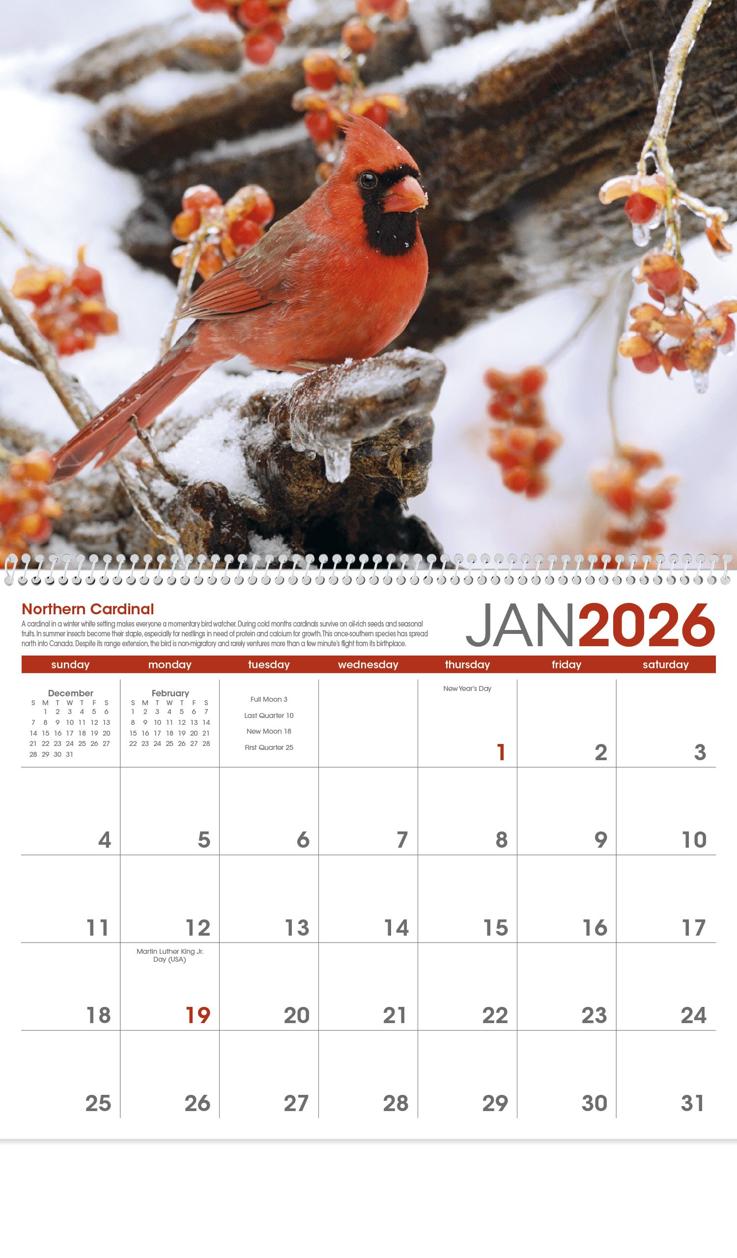 2024 Birds Calendar 11" X 19" Imprinted Spiral Bound; Drop Ad Imprint