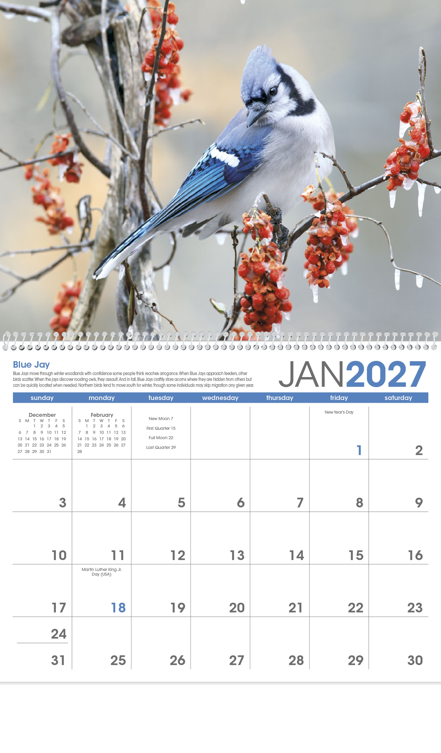 2023 Yearly Calendar Bird Template Free Printable Templates Gambaran