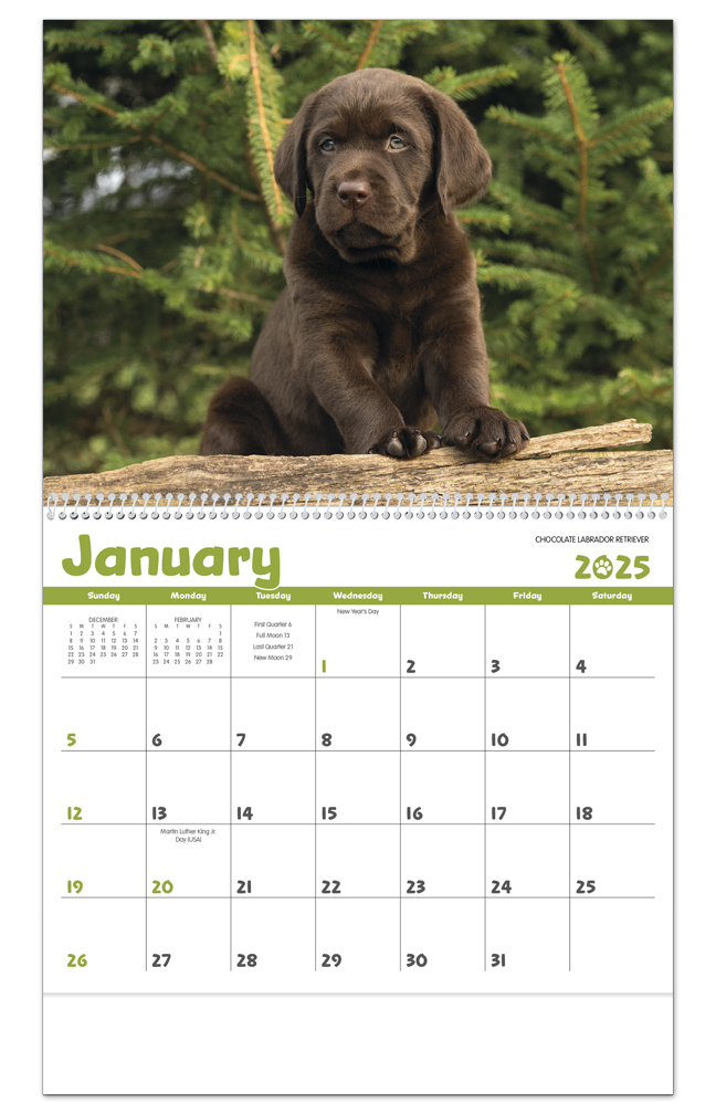 2024 Puppies Calendar 11" X 19" Imprinted Spiral Bound; Drop Ad