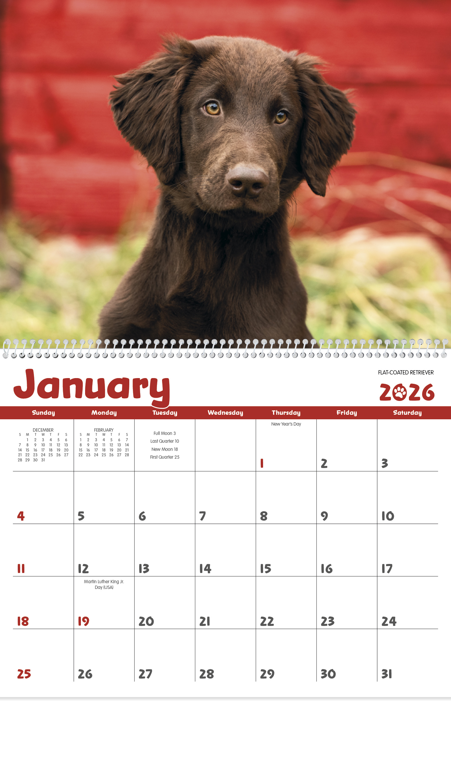 2024 Puppies Calendar 11" X 19" Imprinted Spiral Bound; Drop Ad