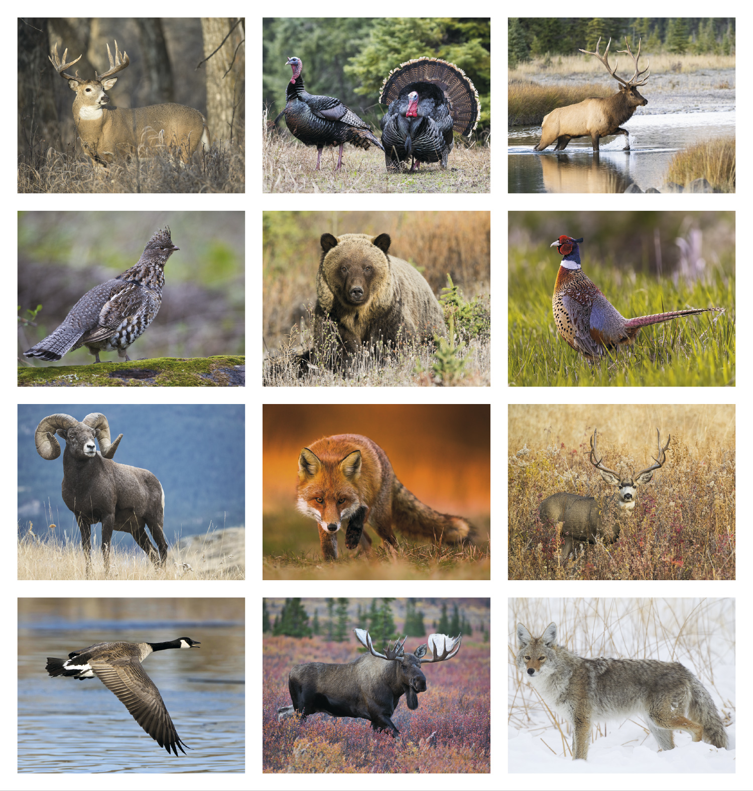 2024 Great Lakes Sportsman Calendar 11" X 19" Imprinted Spiral Bound
