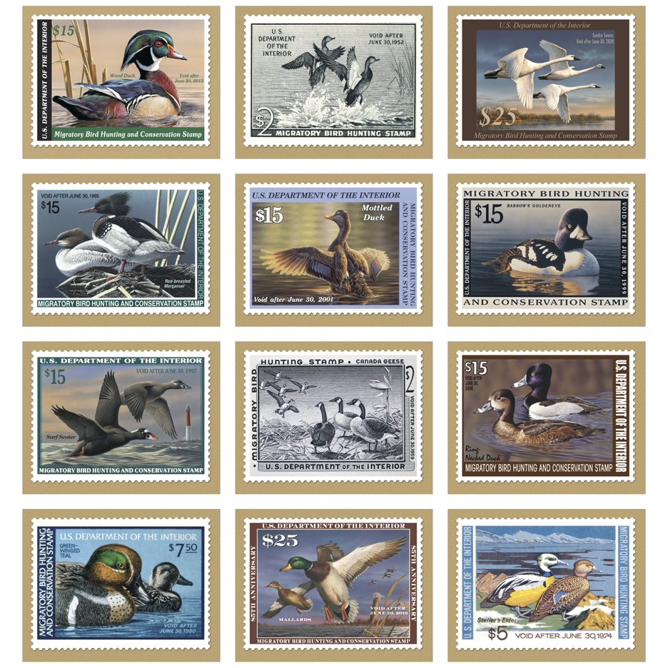2024 Duck Stamps Calendar 11" X 19" Imprinted Spiral Bound; Drop Ad