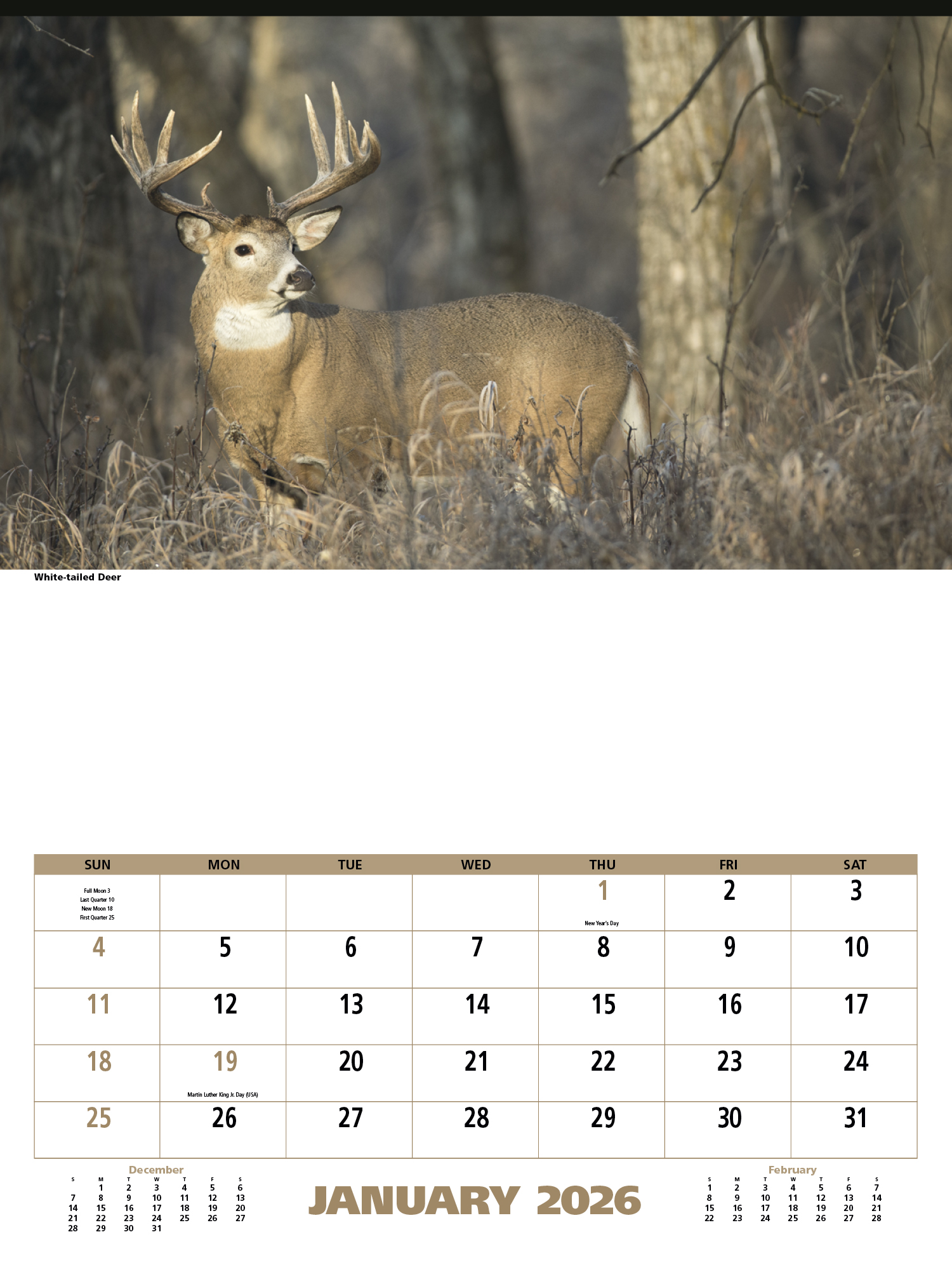 2025 North American Wildlife Calendar 17" x 23" Imprinted 12Sheet