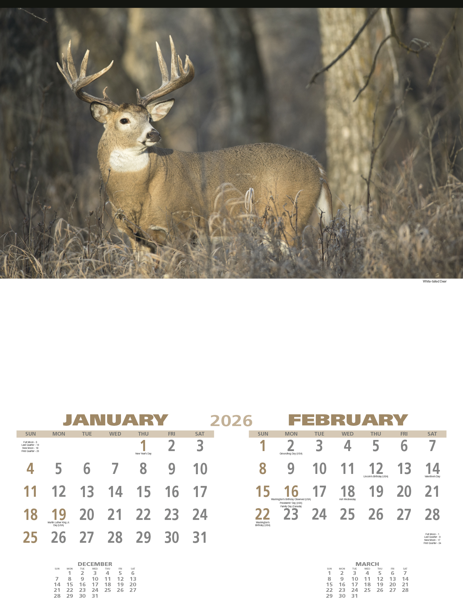 2025 Wildlife (6Sheet) Calendar 17" x 23" Imprinted 6Sheet Large