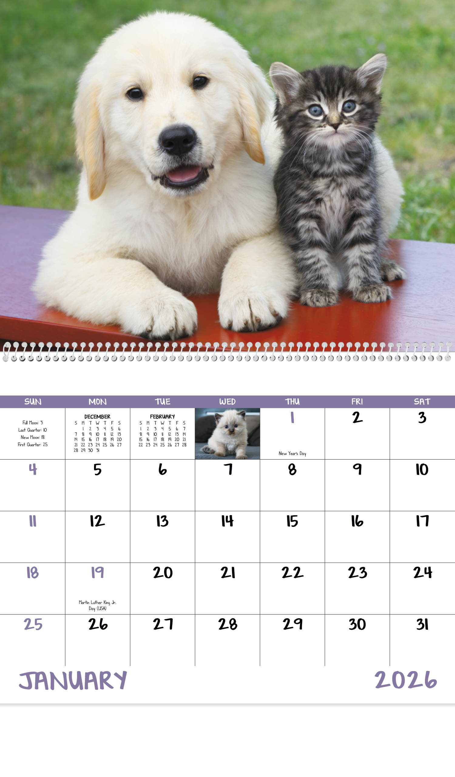 Puppies & Kittens Spiral Calendar