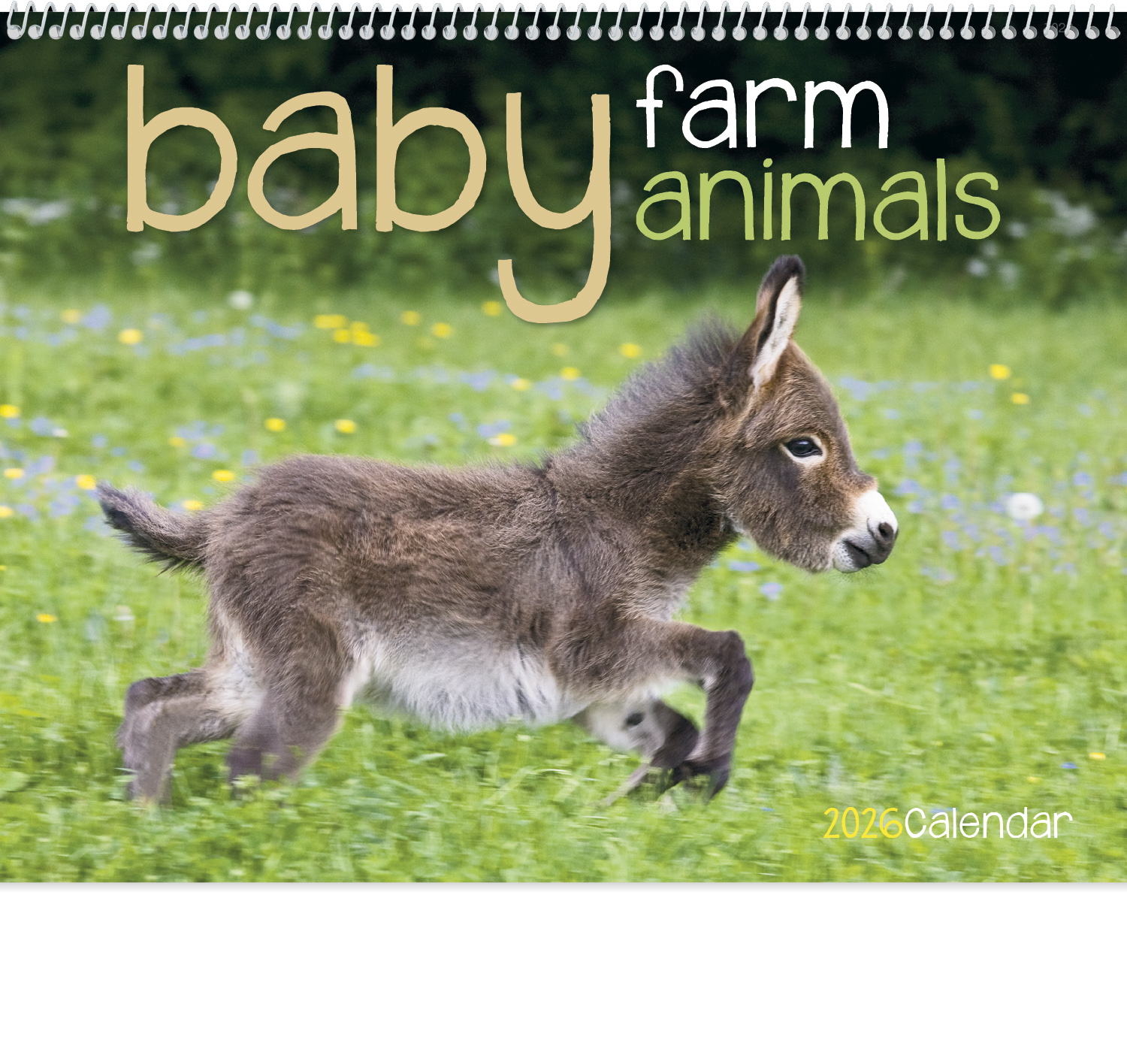 2024 Baby Farm Animals (Spiral) Calendar 11" X 19" Imprinted Spiral