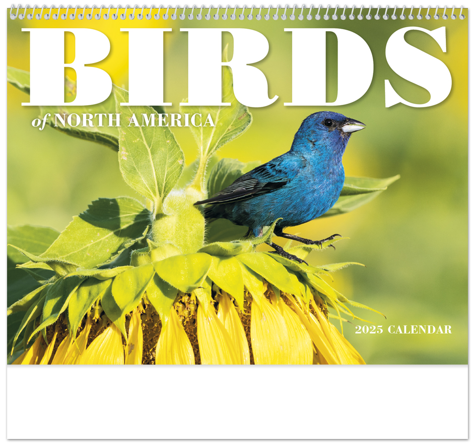 2024-birds-of-north-america-calendar-11-x-19-imprinted-spiral-bound-drop-ad-imprint-calendars