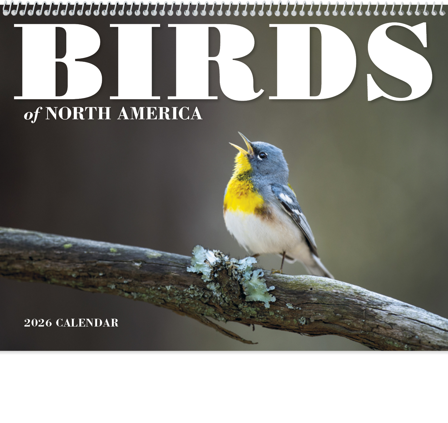 2024-birds-of-north-america-calendar-11-x-19-imprinted-spiral-bound-drop-ad-imprint-calendars