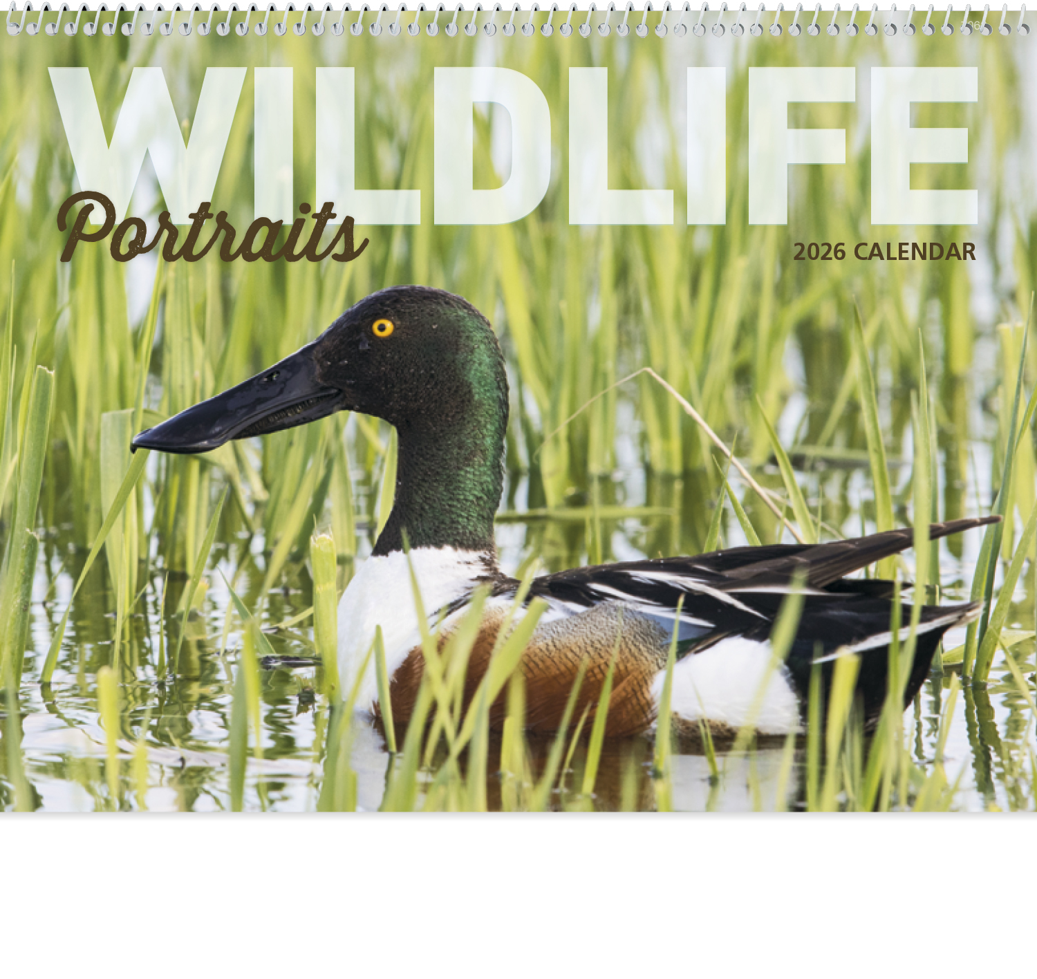2024 Wildlife Portraits (Spiral) Calendar 11" X 19" Imprinted Spiral