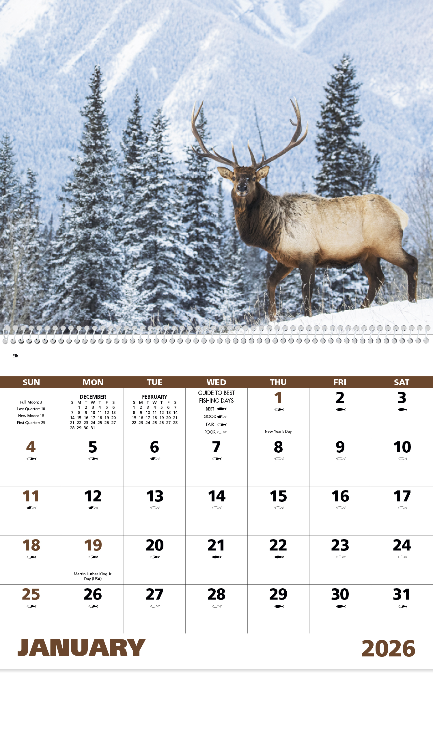 2024 Wildlife Portraits (Spiral) Calendar 11" X 19" Imprinted Spiral