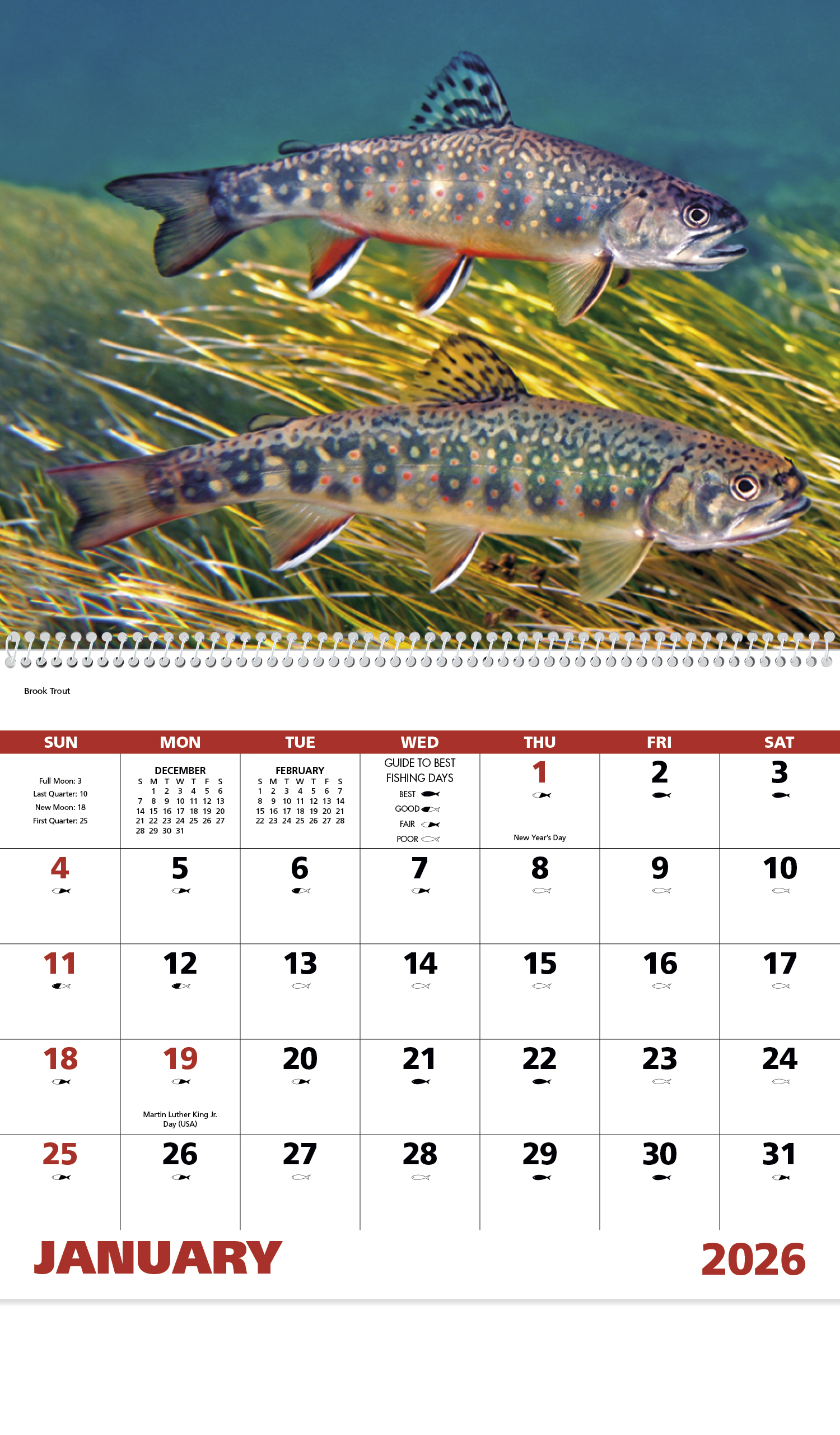 2023 Fishing Spiral Calendar 11 X 19 Imprinted Spiral Bound Drop 