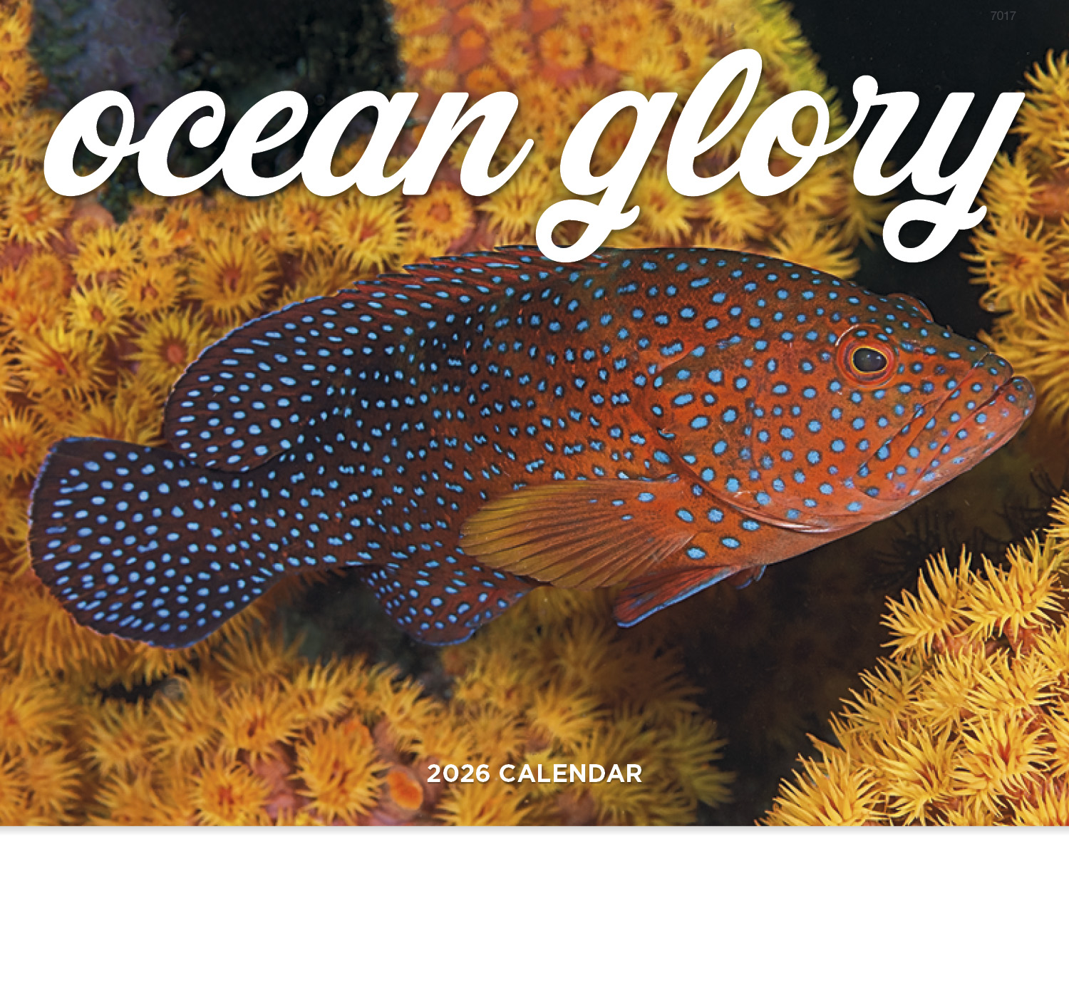 2024 Ocean Glory Calendar 11" X 19" Imprinted Staple Bound; Drop Ad