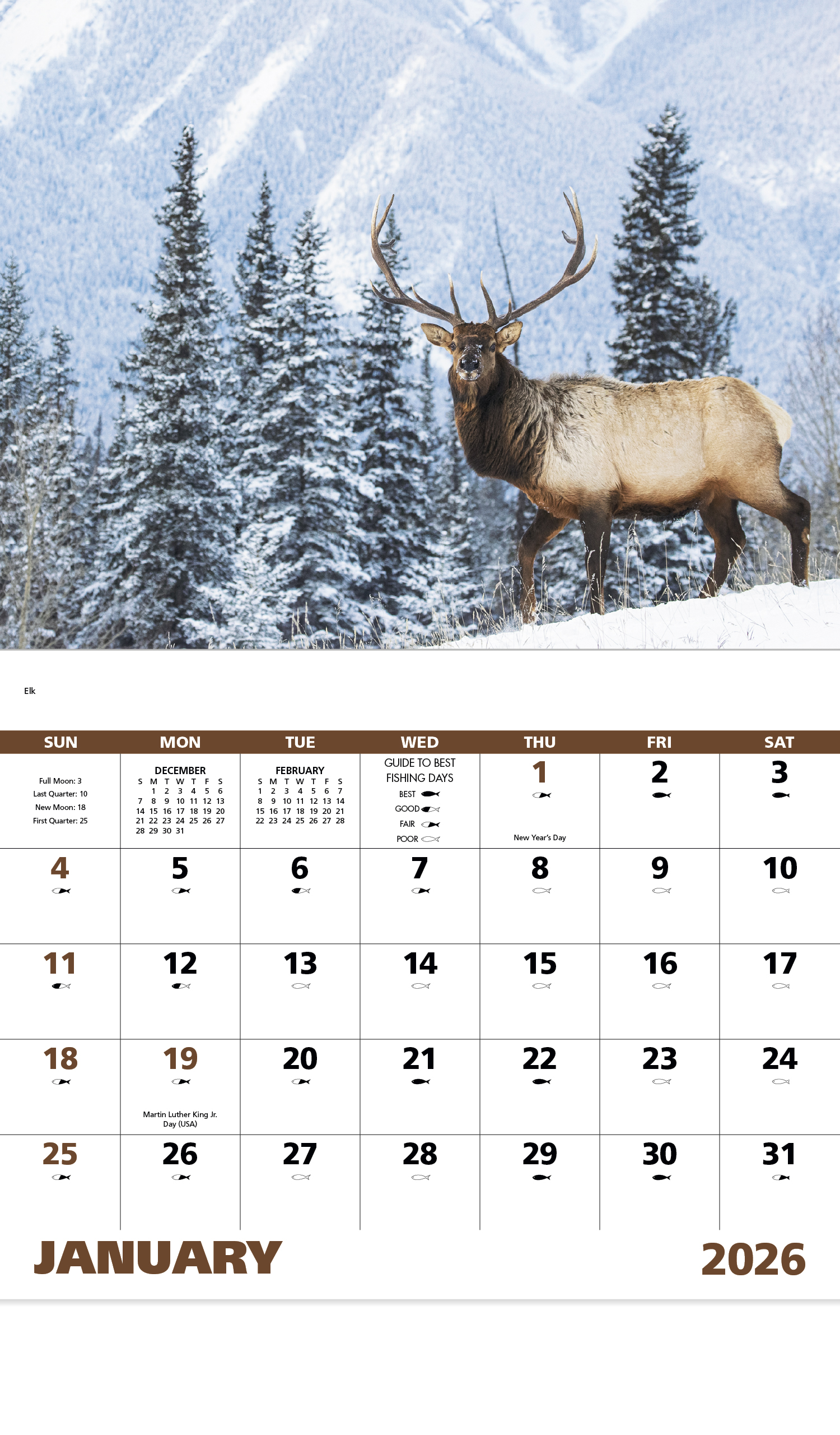 2025 Wildlife Portraits Calendar 11" X 19" Imprinted Staple Bound
