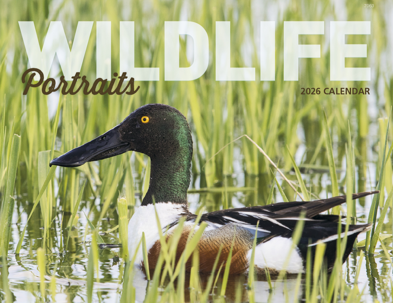 2025 Wildlife Portraits (Window) Calendar 11" x 17" Imprinted Window