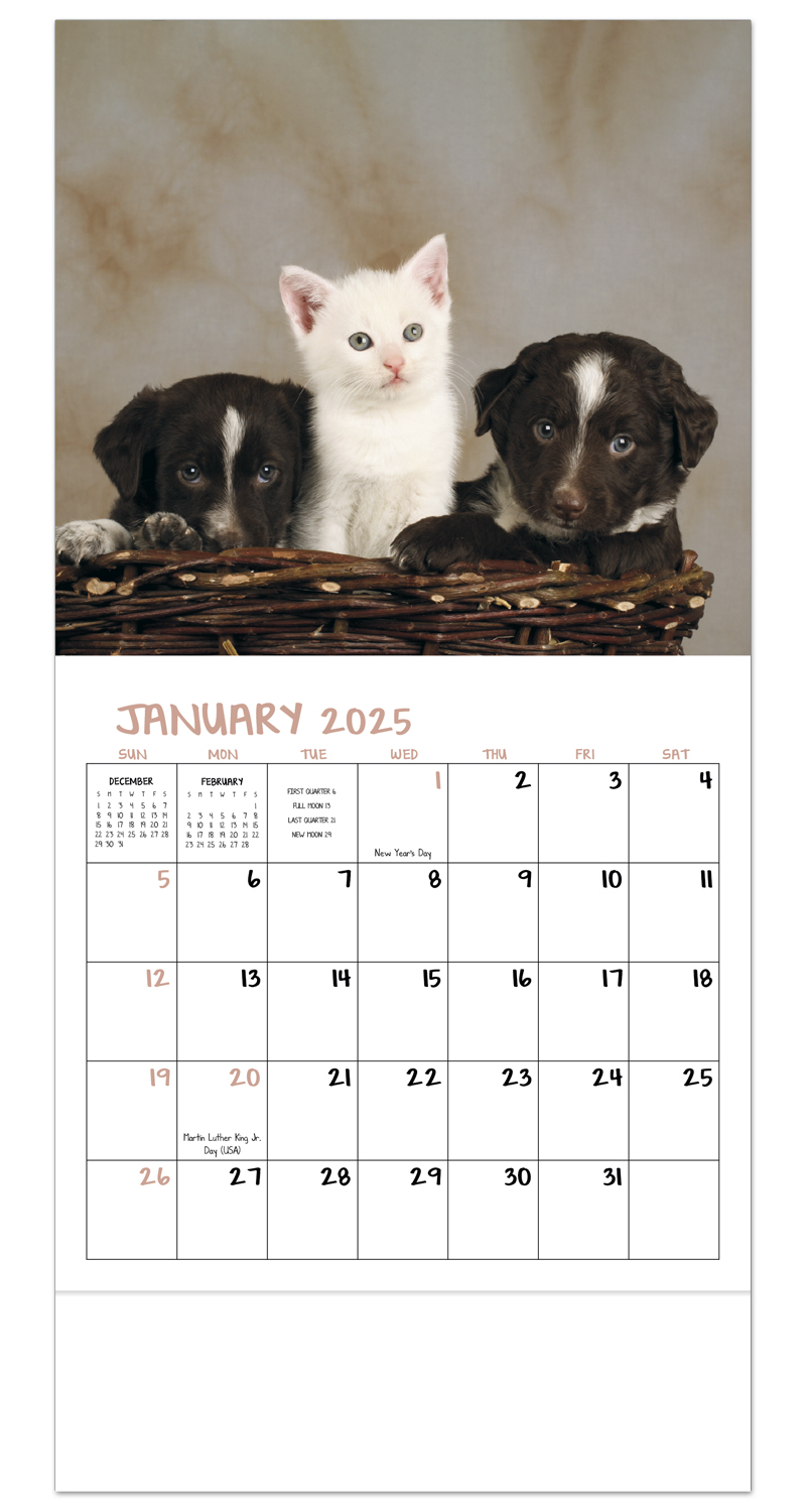 puppies-and-kittens-mini-calendar-valuecalendars