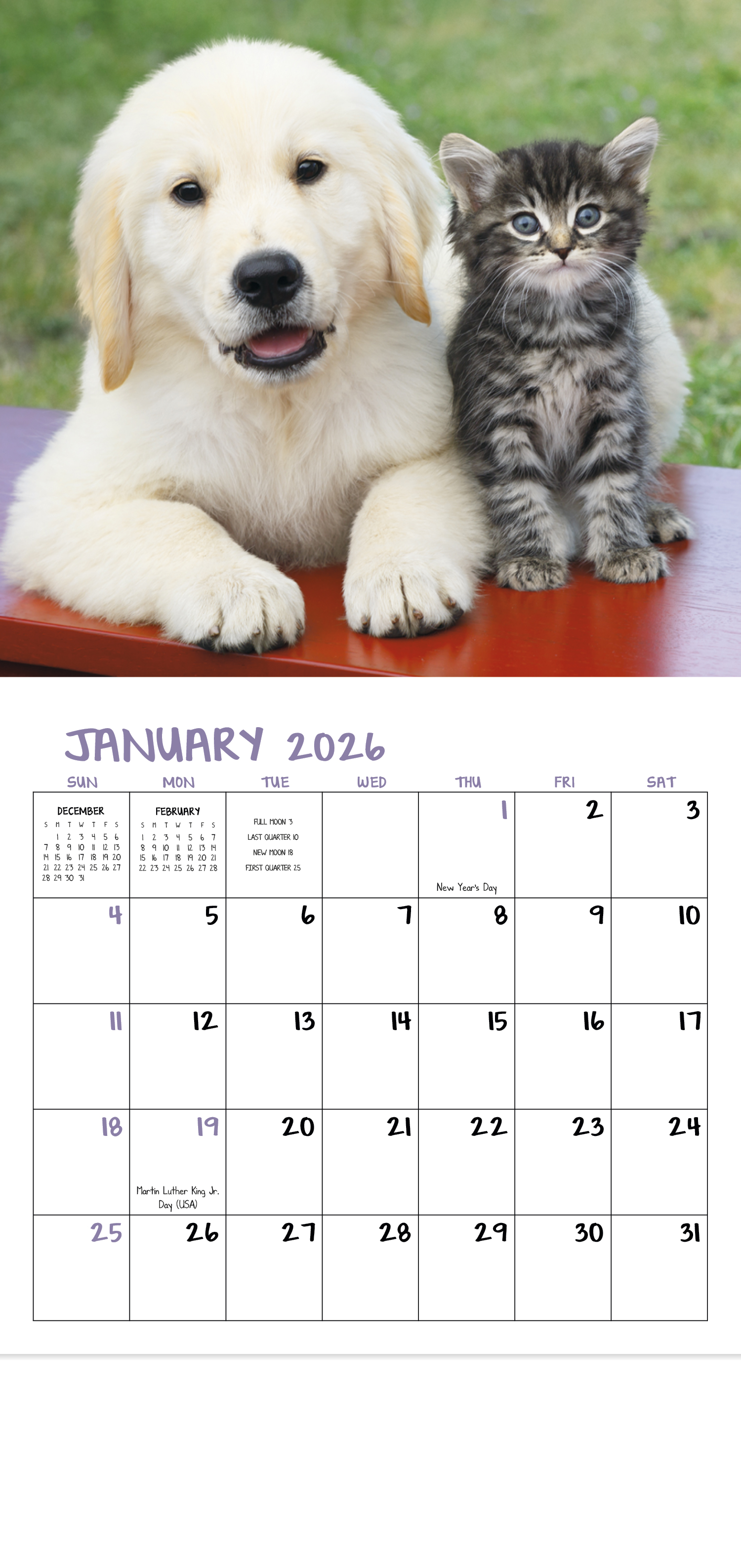 puppies-and-kittens-mini-calendar-valuecalendars