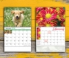 Wall Calendars