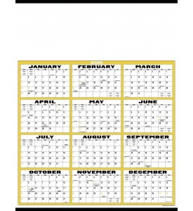 Display-A-Year Calendar, 19.5 x 25.75 (Accent)