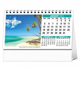 Sun, Sand &amp; Surf Desk Calendar
